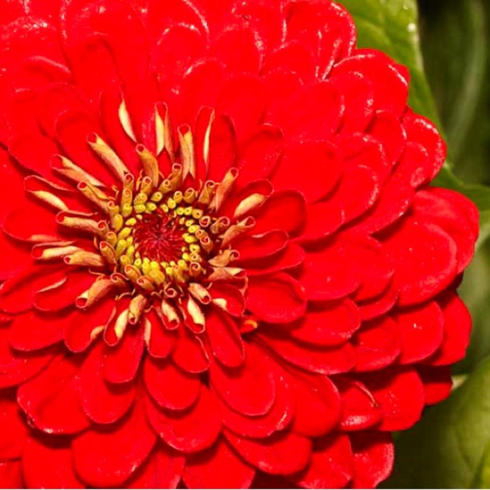 π·πΏπͺ»πΏπ·πΏπͺ»πΏπ·πΏπͺ»πΏπ·πΏπͺ»πΏπ·πΏ - Picture 9 of 14